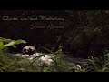 Rest as Awareness | 20-Minute Non-Dual Guided Meditation (Original 432hz Music)