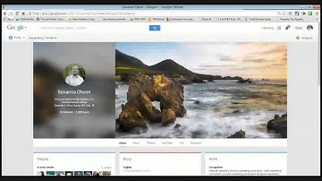 Google Authorship Wordpress Plugin