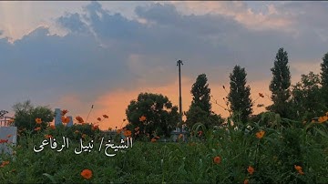 ( إن قرآن الفجر كان مشهودا ) سورة الإسراء #قرآن