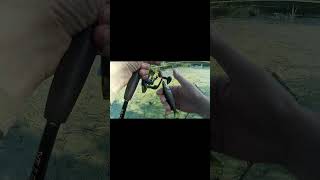 Такого жереха точно ни кто ещё не ловил.#ловляжереха  #fishing#рыбалка #рыбалканаспиннинг