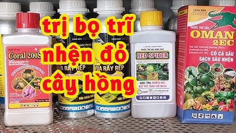 Thuốc Trị Bọ Trĩ Nhện Đỏ Cho Cây Hoa Hồng