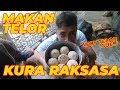 KANDANG BARU, PANEN TELOR, DAN MAKAN TELOR SULCATA??