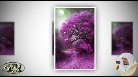 098  Surat   AlBayyinah   المصحف كامل بصوت ياسر الدوسري سورة البينة