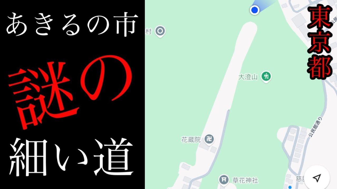 あきる野市謎の細い道へ参ります、草花もまち歩きします！【東京都あきる野市】
