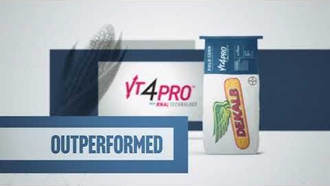 DEKALB® Brand VT4PRO™ With RNAi Technology