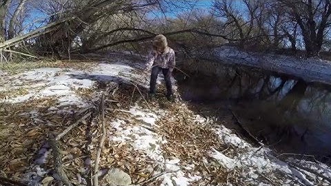 L7 Fish Twitch Up Trap