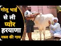 घर पर गऊ सेवा करूँगा Super Haryana Breed Cow Aditi @guluahlawat