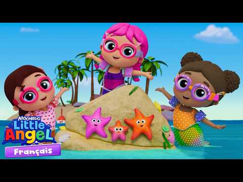 Des amies sirènes sauvent des étoiles de mer perdues ! 🐠💖 | Little Angel Français