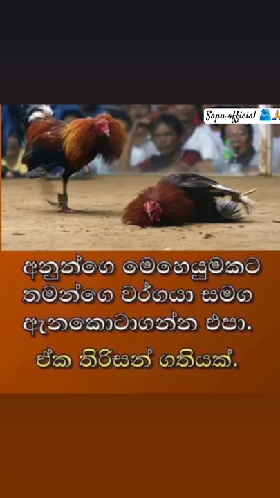kisima kenekta irisiya🤠 karanna yanna epa #funny 🫂🙏