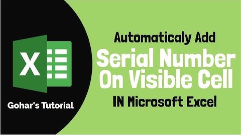 Automatically Add Serial Number on Visible Rows in Excel - Ms Excel Tutorial - Aggregate Function