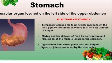 CLASS 5 EVS - Chapter-3 FROM TASTING TO DIGESTING -PART-2