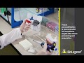 Chromogenic tissue staining using dab detection system