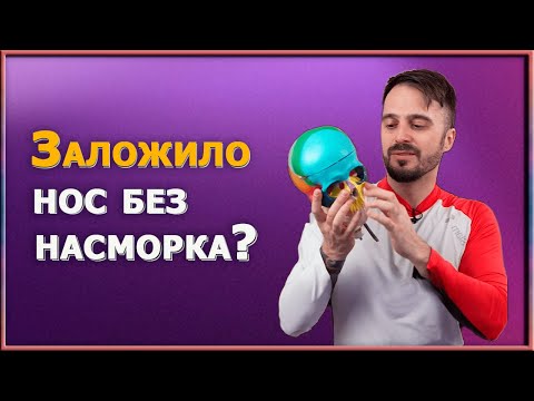 Загадка: почему нос не дышит, если нет насморка? И как вернуть свободное носовое дыхание .
