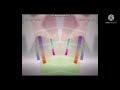Nile Life 2020 Ident In G Major 69 Kinemaster Version 