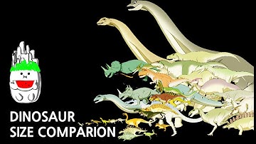 Dinosaurs | Size Comparison