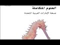 اختبار العلوم الوزاري للاعوام السابقة صف خامس فصل الثالث