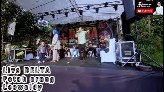 LIVE DELTA PATAH ARANG LEOWALDY