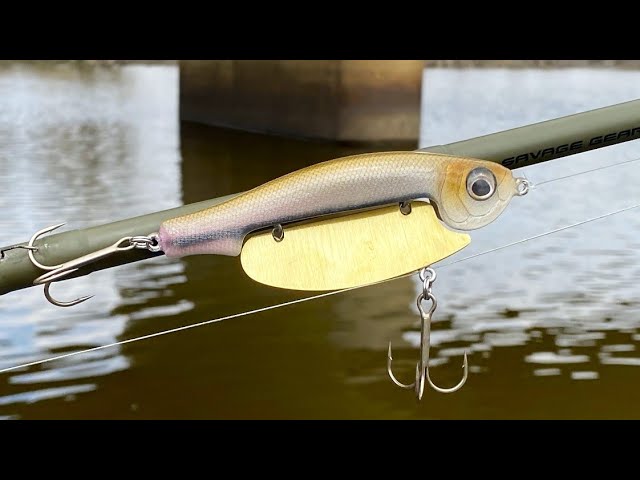 This fishing lure is a game changer 