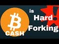 Bitcoin Cash Hard Forks Mining Difficulties