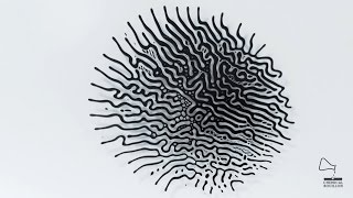 Ferrofluid - Magnetic pattern I