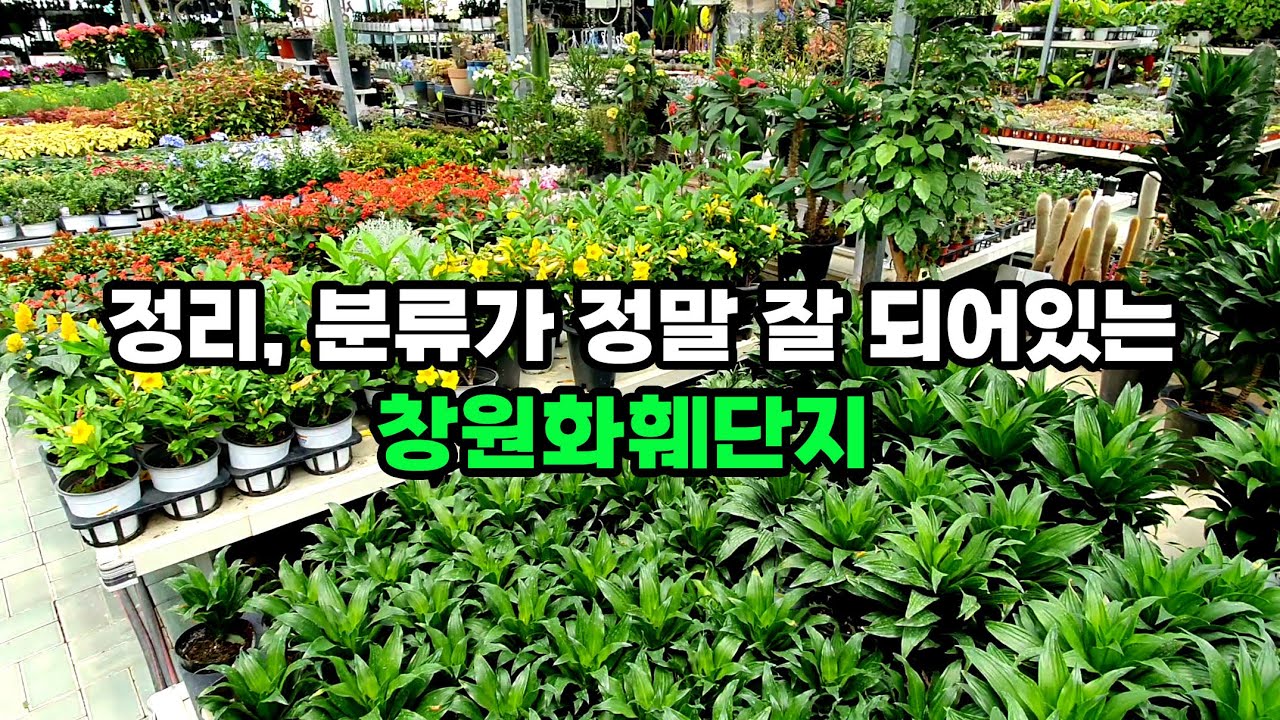더이상 헤매지 않고 원하는 식물을 한번에 쏙~ 데려와요~ 창원화훼단지(동창원식물원)