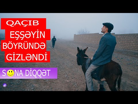 Balaca eşşək Azeri Prikol 2023