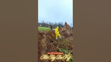 Hài hước cảnh "Tào Tháo rượt Tôn Ngộ Không" #shorts