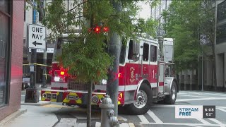 Horse Left Dead On The Sidewalk In Downtown Atlanta