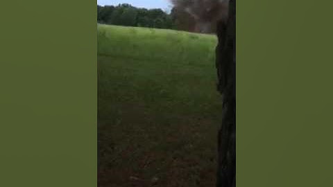 Sure Shot Exploding Targets 10 Lb Magnum Stump Removal