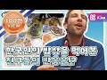 [어서와ZIP] 한국인의 밥상을 먹어본 친구들의 반응은~! l #어서와한국은처음이지