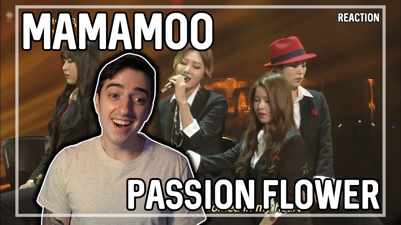 MAMAMOO "Passion Flower" (Immortal Songs) REACTION YouTube