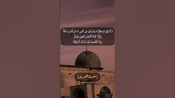 سورة الشورى الآية ١٩ الى ٢١ بصوت الشيخ محمد صديق المنشاوي
