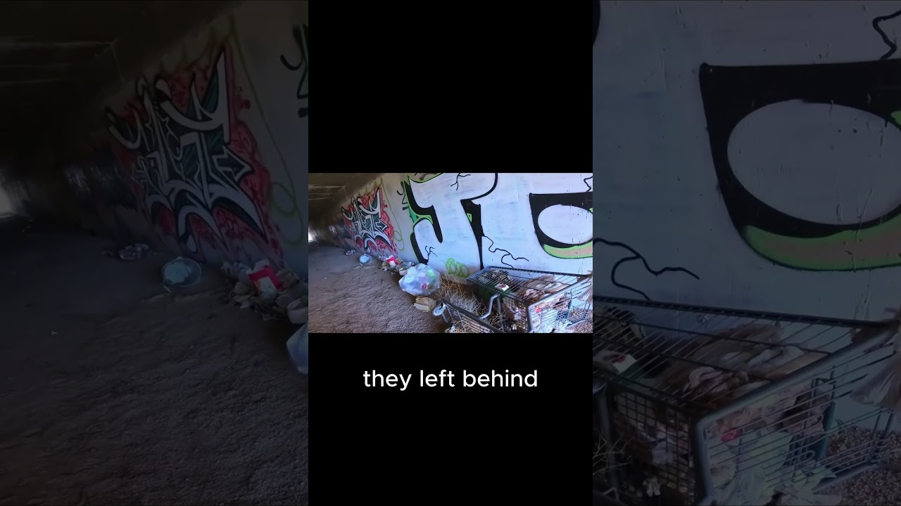 Unexpected Finds in Albuquerque's Tunnels!02