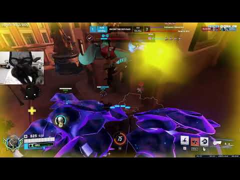 Cat Plays Doom + Winston + More Cheaters? + Vod Review | Full Stream