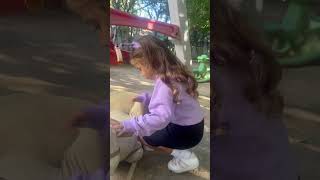 Ya Ama O Çok Tozlu Öykü Şfet