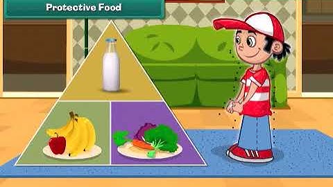 Food and Health | Science | Class 2 | SKK International Olympiad