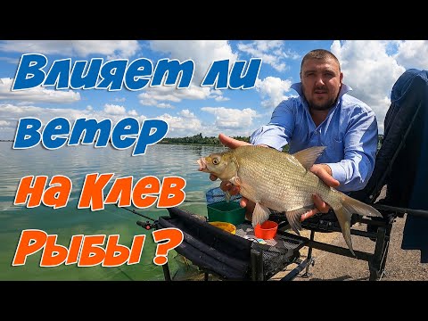 Рыбалка на фидер ЖАРКИМ Летом. Ловля ЛЕЩА на фидер.