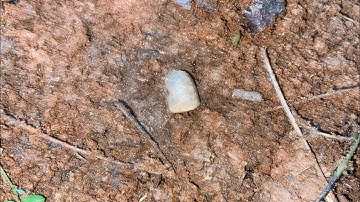 First metal detecting video (found a modern bullet)