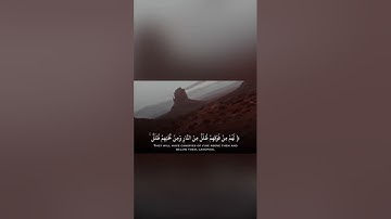 سورة الزمر الشيخ ماهر المعيقلي