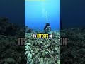 3 Deep-Sea Secrets Scientists Still Can’t Fully Explain 🌊😱 #shorts #water