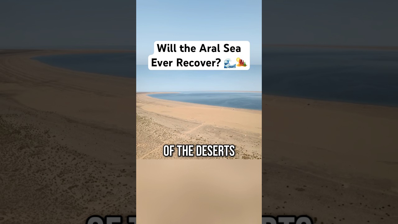 Will the Aral Sea Ever Recover? 🌊🏜️ #travel #nature #discovery
