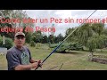 Sport Fishing Como pelear un Pez sin maltratar el Reel y la Caña