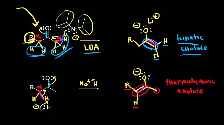 Kinetic and thermodynamic enolates | Alpha Carbon ...