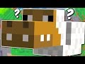 WHAT IS THIS NEW MINECRAFT MOB? | Minecraft Mods