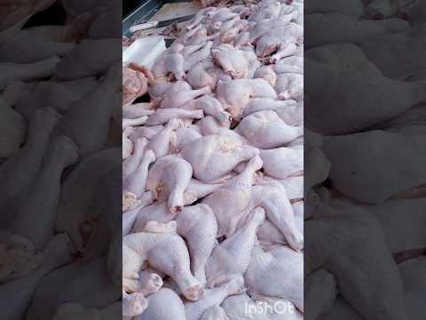 اسعار اليوم ٧ ١٠للفراخ البانيه الوراك كبد وقوانص من سوق كفر البدماص بالمنصورة 