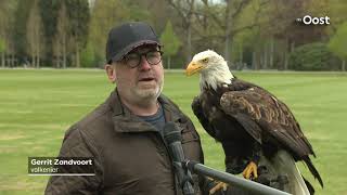 Valkenier Gerrit stopt, maar Eagles-mascotte Harly blijft vliegen