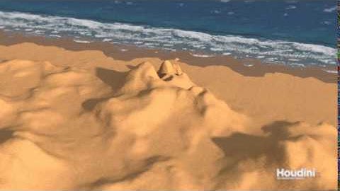 Houdini Flip Sim Namib Ocean