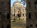 where Nature meet heritage 🏞️❤️🏛️ Lodhi garden #worldheritage #travel #heritageindia