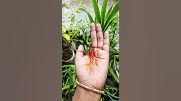 Finger printing shorts funny magic, don