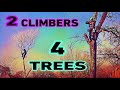 2 CLIMBERS THE WHOLE EQUIPMENT TREE SERVICE